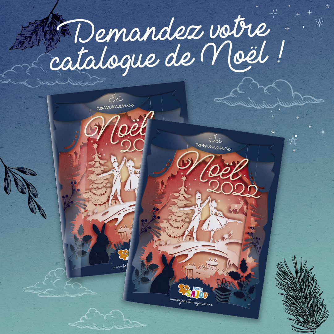 JOUETS SAJOU PITHIVIERS