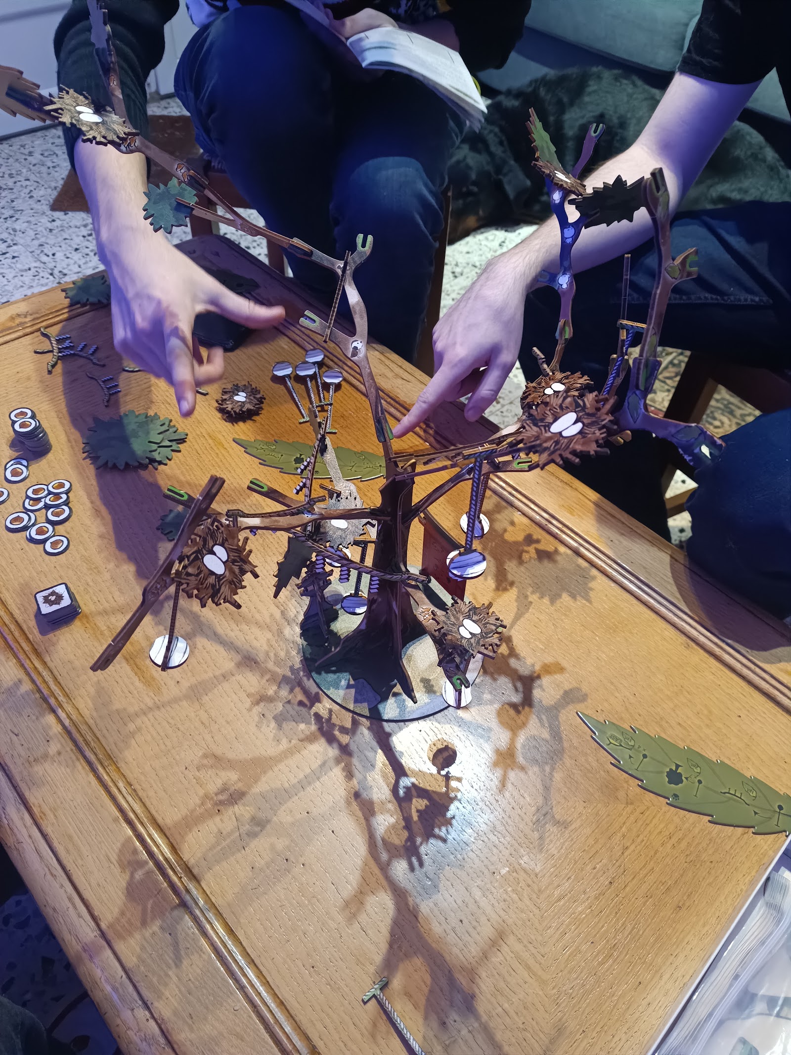 Le Meeple Conquérant